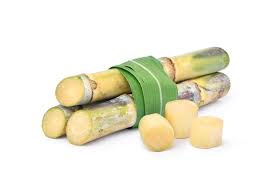 Sugarcane Cubes